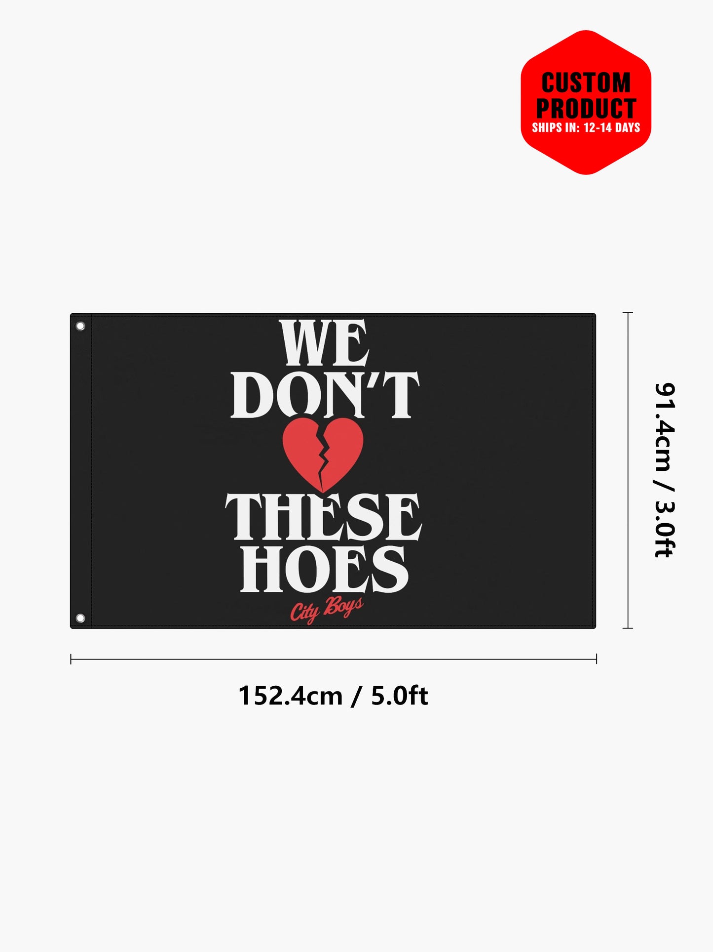 We Don’t Love These Hoes  Flag 3x5 Ft